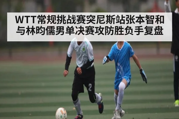 WTT常规挑战赛突尼斯站张本智和与林昀儒男单决赛攻防胜负手复盘（PG Play Store）